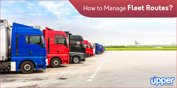 Corporate Fleet Management