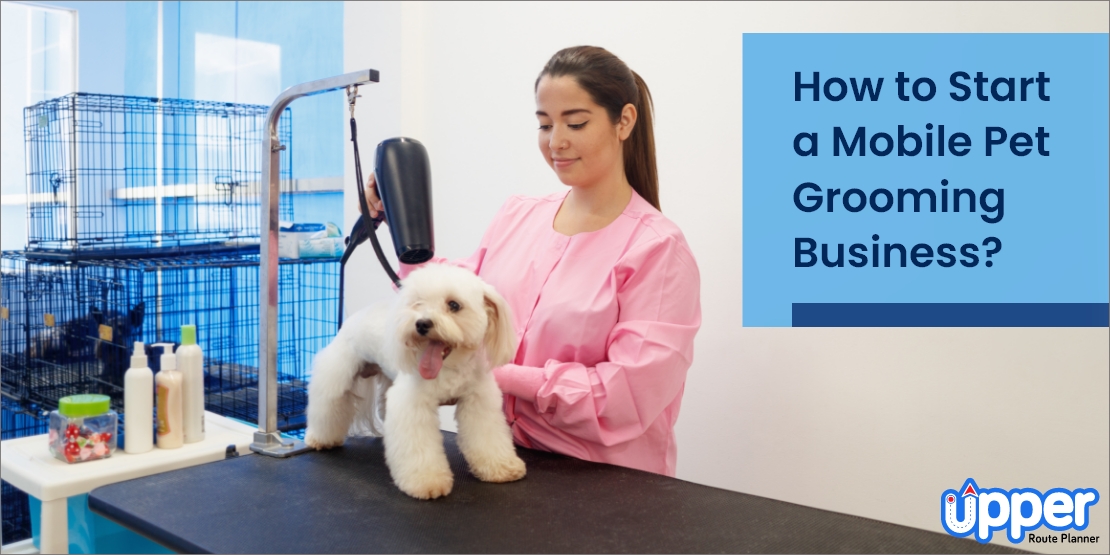 How to start a mobile pet grooming business