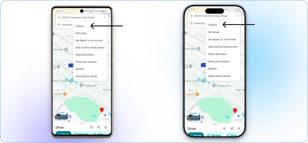 Tapping the three-dot menu in Google Maps and selecting the Options setting